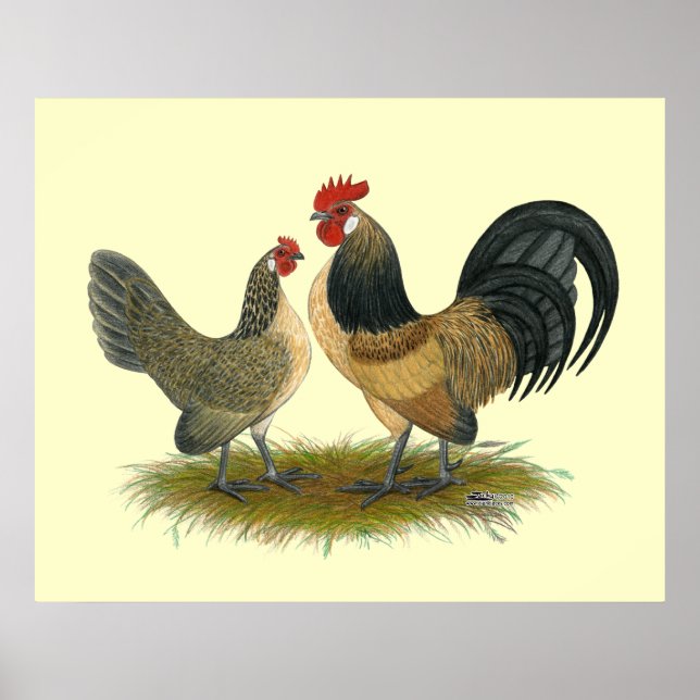 Dutch Bantam:  Blue Quail Poster (Front)