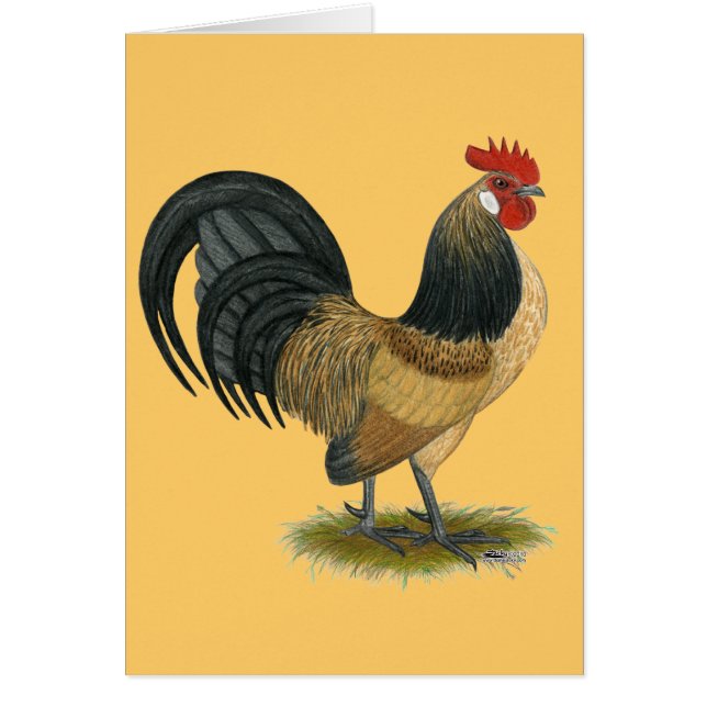 Dutch Bantam:  Blue Quail Rooster (Front)