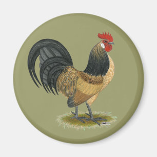 Dutch Bantam: Blue Quail Rooster Magnet