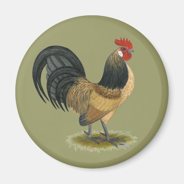 Dutch Bantam:  Blue Quail Rooster Magnet (Front)