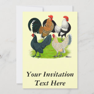 Dutch Bantam Quartet Invitation