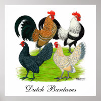 Dutch Bantam Quartet