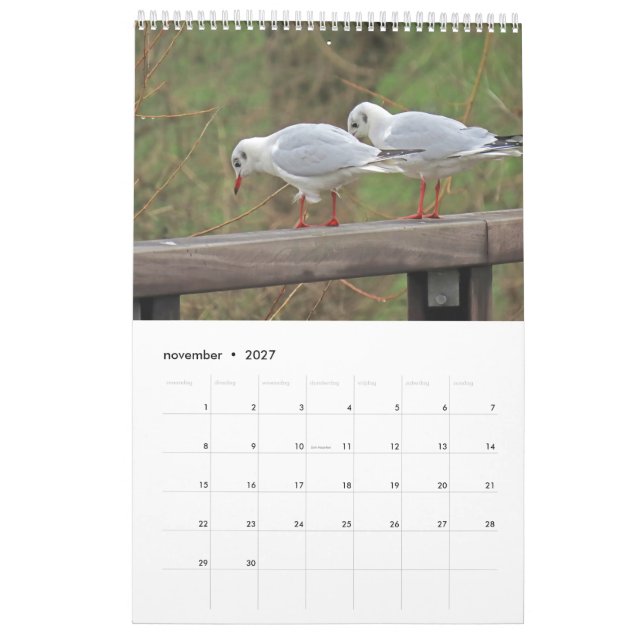 Dutch birds Calendar (Nov 2027)
