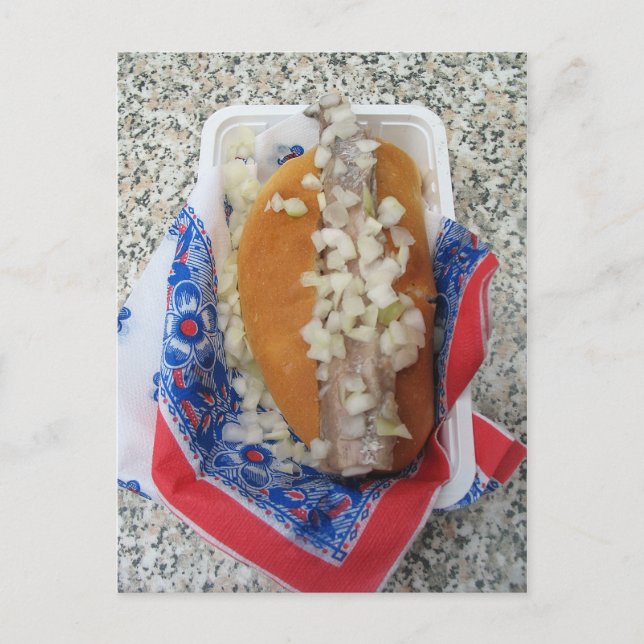 Dutch Broodje Raw Herring with Onions Post Card (Front)