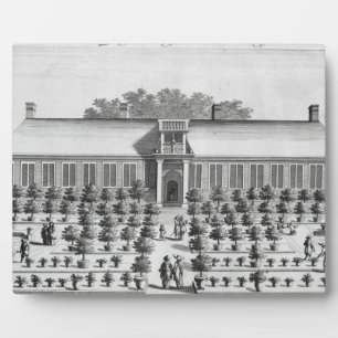 Dutch garden, from 'De Nederlandze Hesperides' by Plaque
