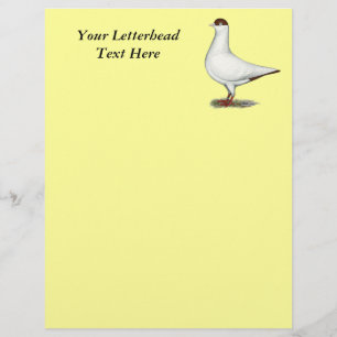 Dutch Helmet Pigeon