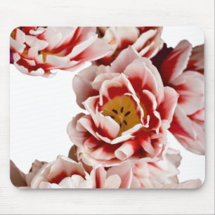 Dutch-Masters Mouse Mat
