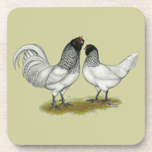 Dutch Owl Beard Chickens Coaster