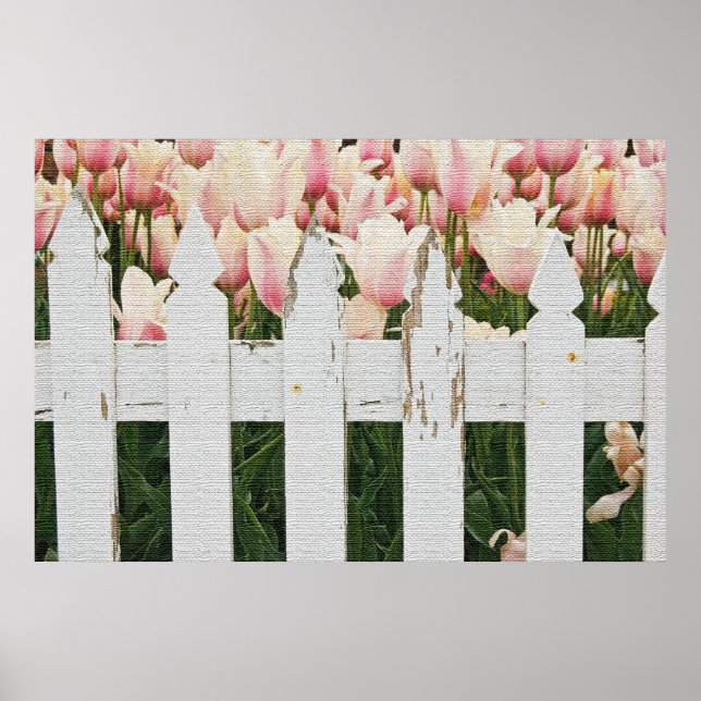 Dutch Pink Tulip Garden Poster (Front)