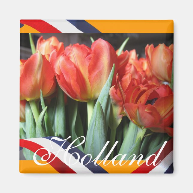 Dutch Red Tulips Orange Fridge Magnet (Front)