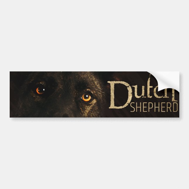 Dutch Shepherd Dog - Dutchie Bumper Sticker (Front)