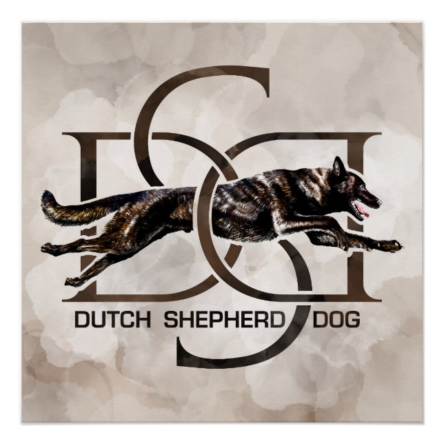 Dutch Shepherd - Dutchie Illustration Poster (Front)