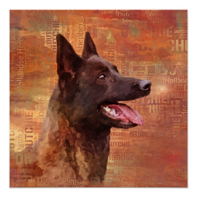 Dutch Shepherd - Dutchie Illustration Poster (Front)