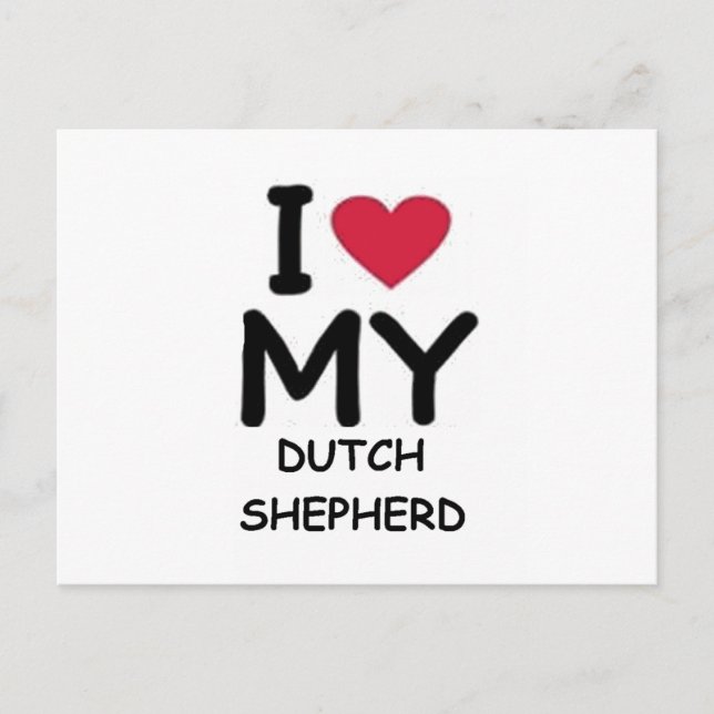 dutch shepherd love postcard (Front)