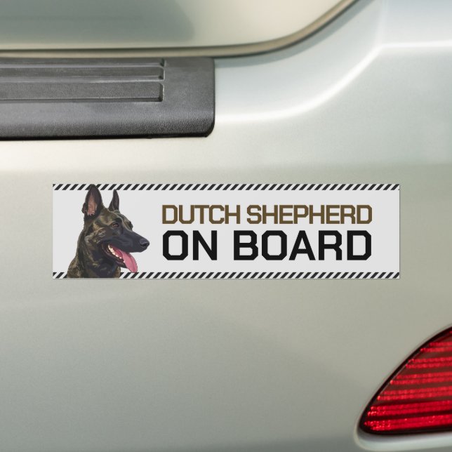 Dutch Shepherd on Board Bumper Sticker (On Car)