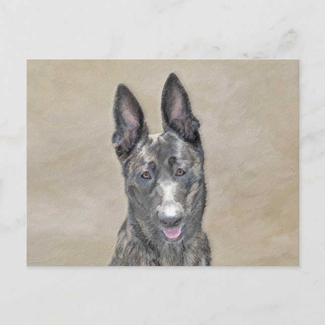 Dutch Shepherd Painting - Cute Original Dog Art Postcard (Front)