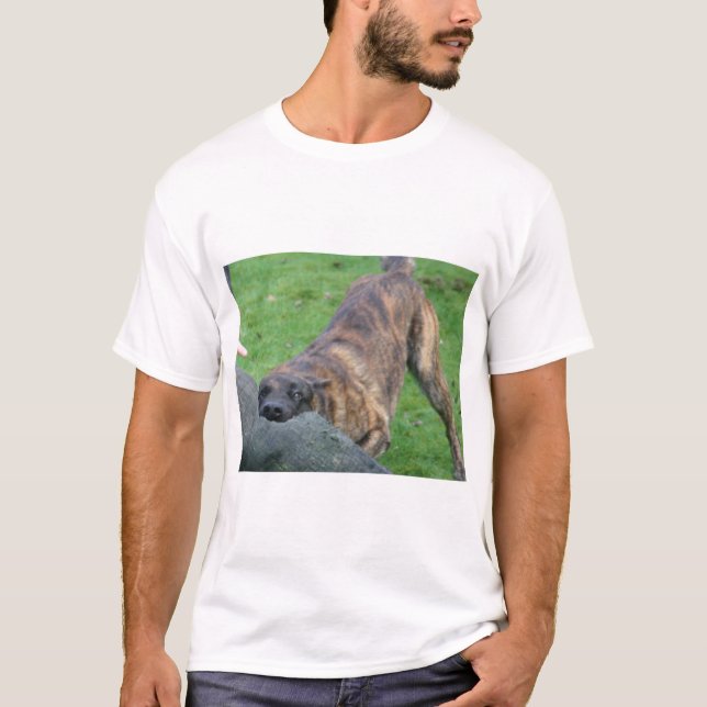 Dutch Shepherd T-Shirt (Front)