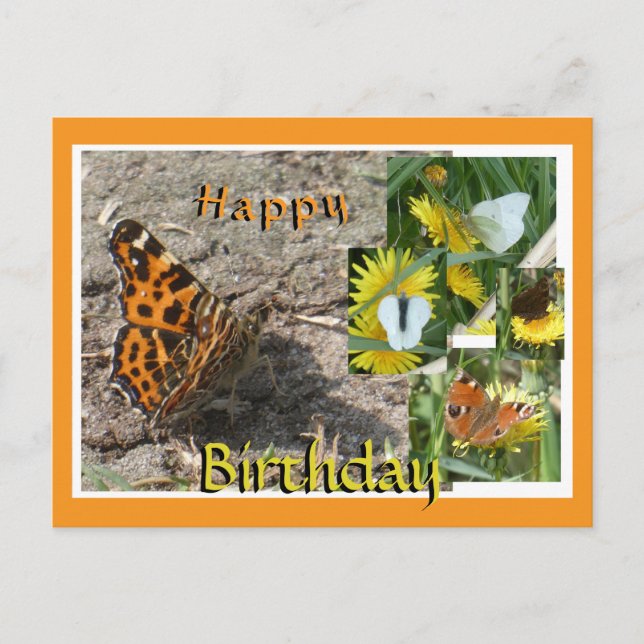 Dutch Summer Butterflies Collage Birthday Postcard (Front)