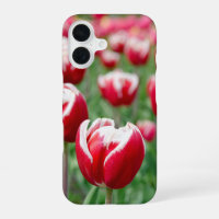 Dutch Tulip Garden