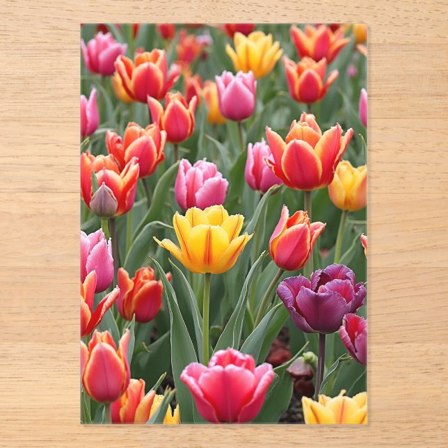 Dutch Tulips Acrylic Invitations (Front)