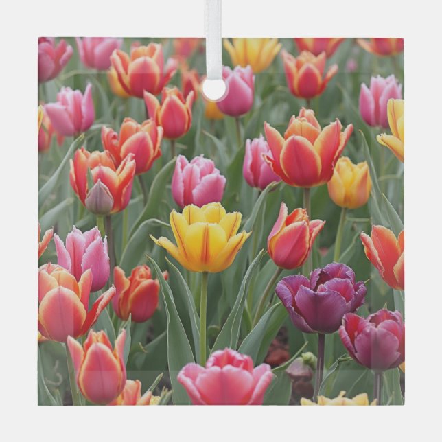 Dutch Tulips Glass Tree Decoration (Front)