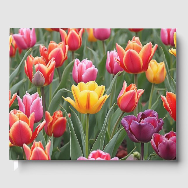 Dutch Tulips Guest Book (Front)