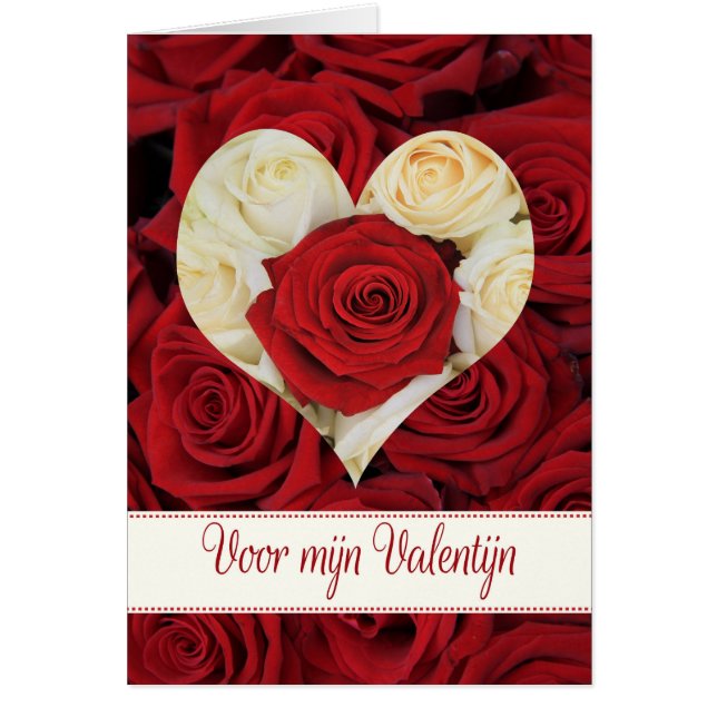 Dutch Valentine's Day Roses (Front)