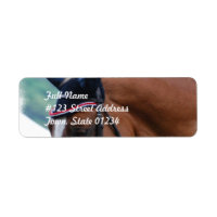 Dutch Warmblood Horse Mailing Label