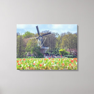 Dutch windmill and tulip fields canvas print