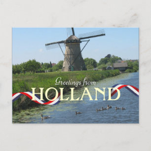 Dutch Windmill Ducks Postcard