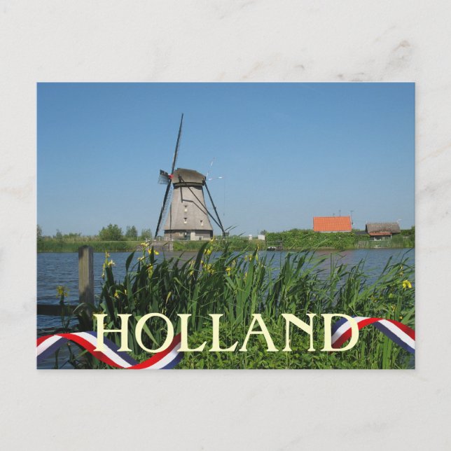 Dutch Windmill Yellow Flowers Postcard (Front)