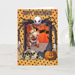 Dutchess - Chihuahua - Photo-7 Card