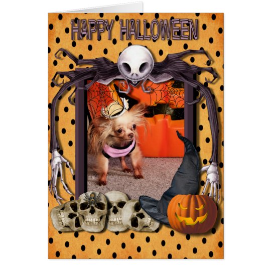 Dutchess - Chihuahua - Photo-7 Card