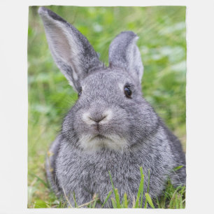 Dwarf bunny rabbit fleece blanket