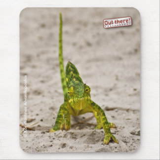 Dwarf Chameleon Mouse Mat