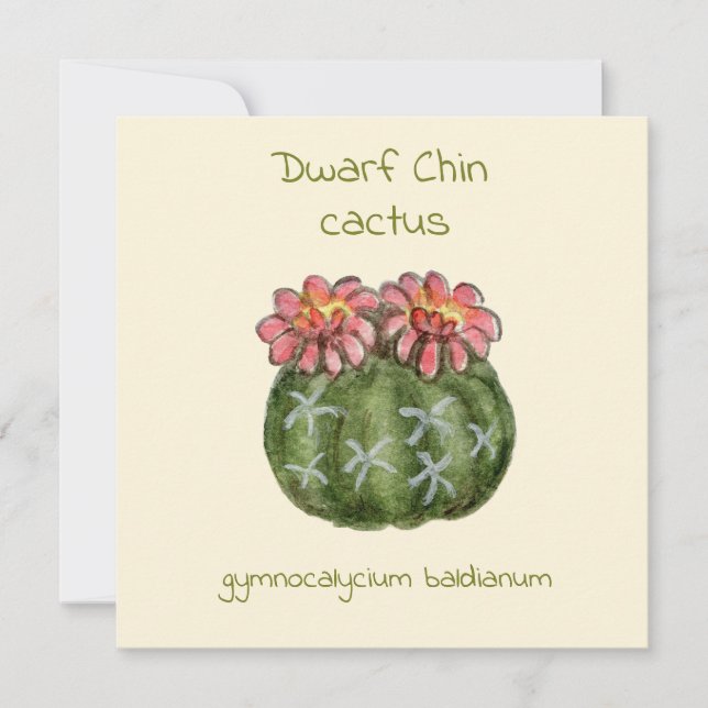 Dwarf Chin cactus card (Front)