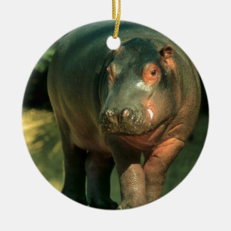 Dwarf (Choeropsis liberiensis) Ceramic Tree Decoration