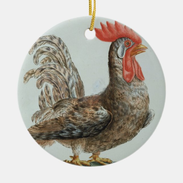 Dwarf Cockerel, c.1767-76 (hand coloured engraving Ceramic Tree Decoration (Front)