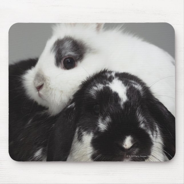 Dwarf-eared rabbit leaning over lop-eared mouse mat (Front)