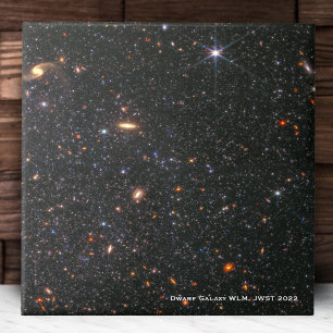Dwarf Galaxy WLM James Webb Space Telescope Hi-Res Tile