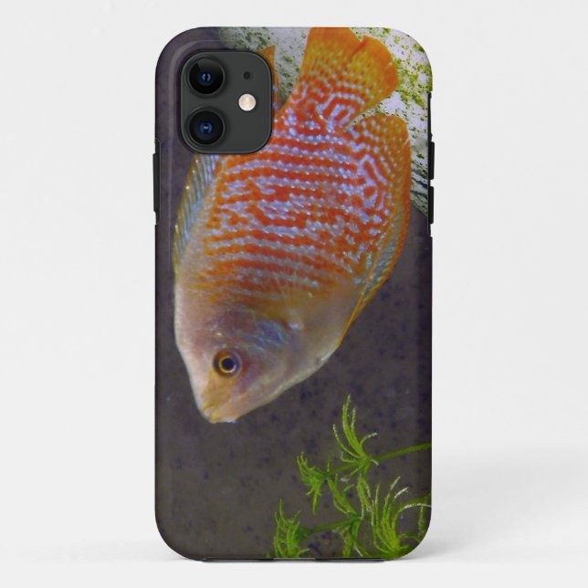 Dwarf Gourami Fish Case-Mate iPhone Case (Back)