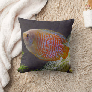Dwarf Gourami Fish Cushion