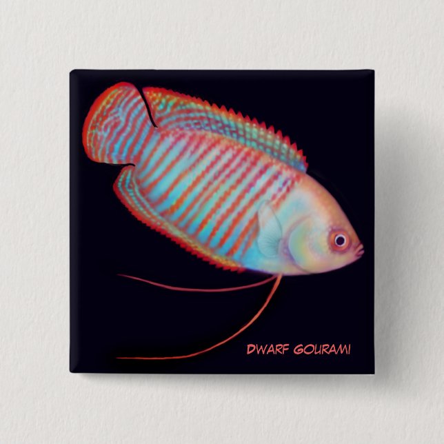 Dwarf Gourami Tropical Fish Pin (Front)