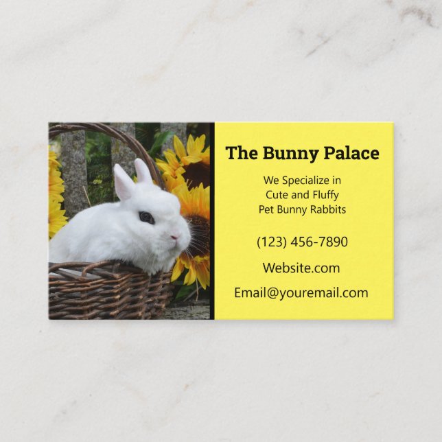 Dwarf Hotot Bunny Rabbit Breeder Business Card (Front)