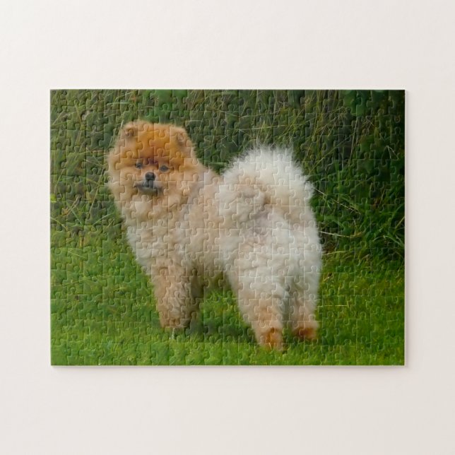 Dwarf Spitz Pomeranian Dog. Jigsaw Puzzle (Horizontal)