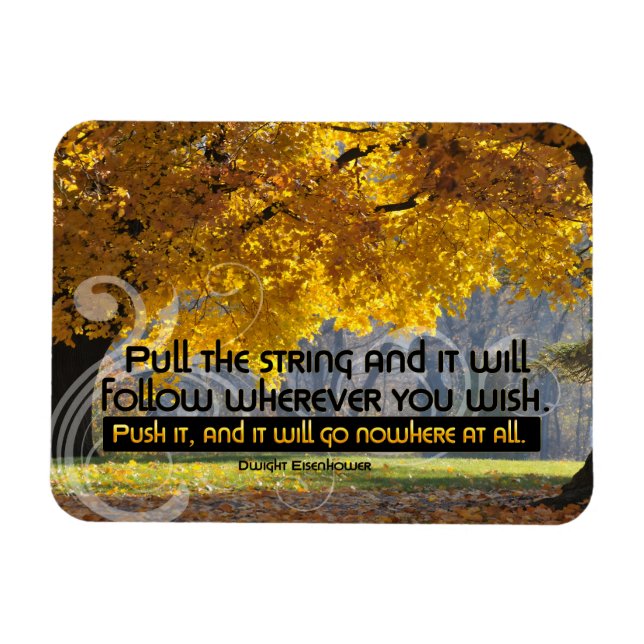 Dwight D. Eisenhower Inspirational Quote "Push it" Magnet (Horizontal)