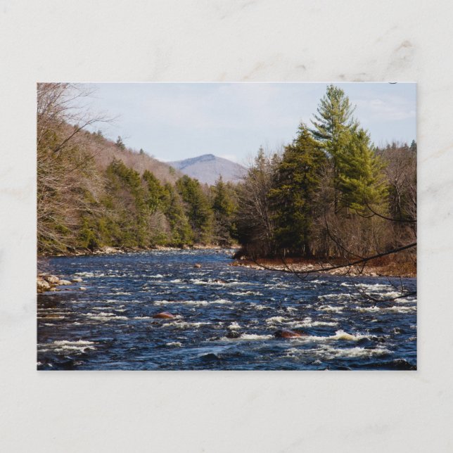 dwight pierre postcard (Front)