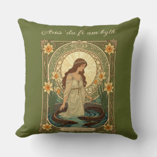 Dwynwen's Well And Sacred Fish Cushion