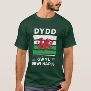 Dydd Gŵyl Dewi Hapus Happy St Davids Day 2 T-Shirt