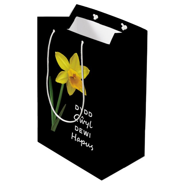 Dydd Gŵyl Dewi Hapus Happy St David's Day Medium Gift Bag (Back Angled)